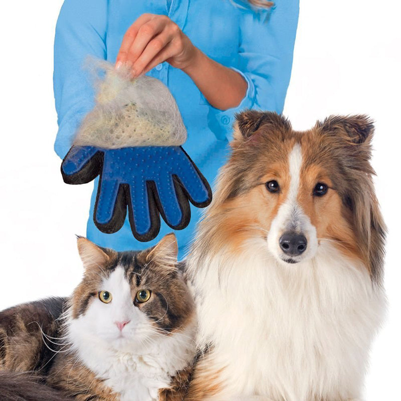 Glove Brush for Grooming Animals