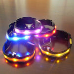 LED Night Safety Collars