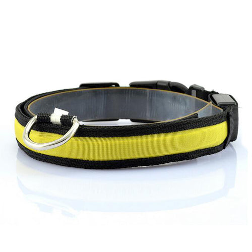 LED Night Safety Collars