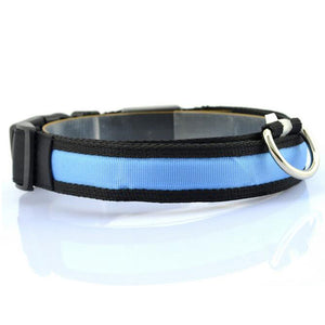 LED Night Safety Collars