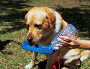 Foldable Dog Drinking Water Bottle